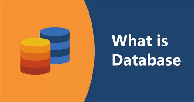 Database (Cơ sở dữ liệu) là gì? Những loại Database phổ biến nhất hiện nay